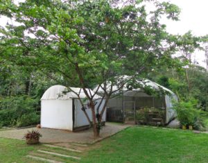 Escola de Formação Ambiental Billings celebra o Dia da Mata Atlântica