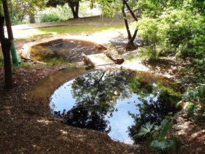 Destruindo o Parque Chico Mendes