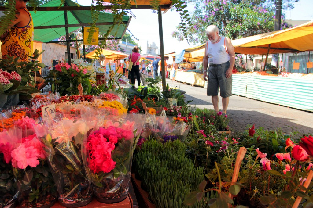 Mercado de Flores prevê aumento nas vendas para ‘Dias das Mães’