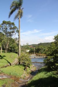 Parque Nascentes de Paranapiacaba comemora 11 anos