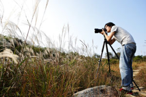 Cia da Matilde oferece oficinas de Fotografia e Escrita Criativa