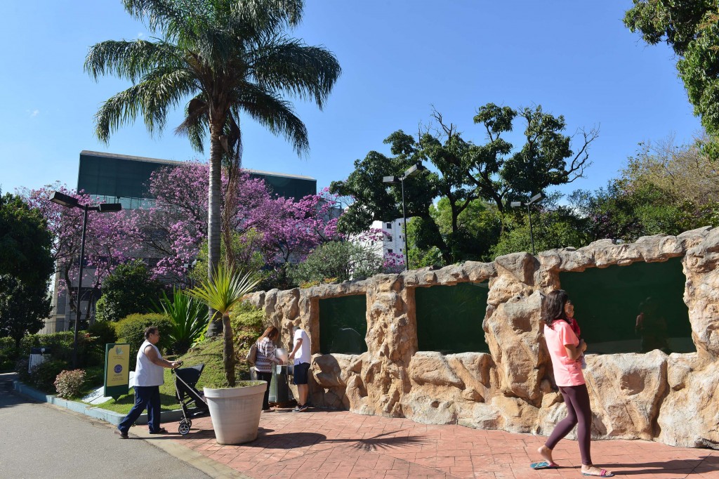 O Parque Salvador Arena fica no Rudge Ramos em SBC