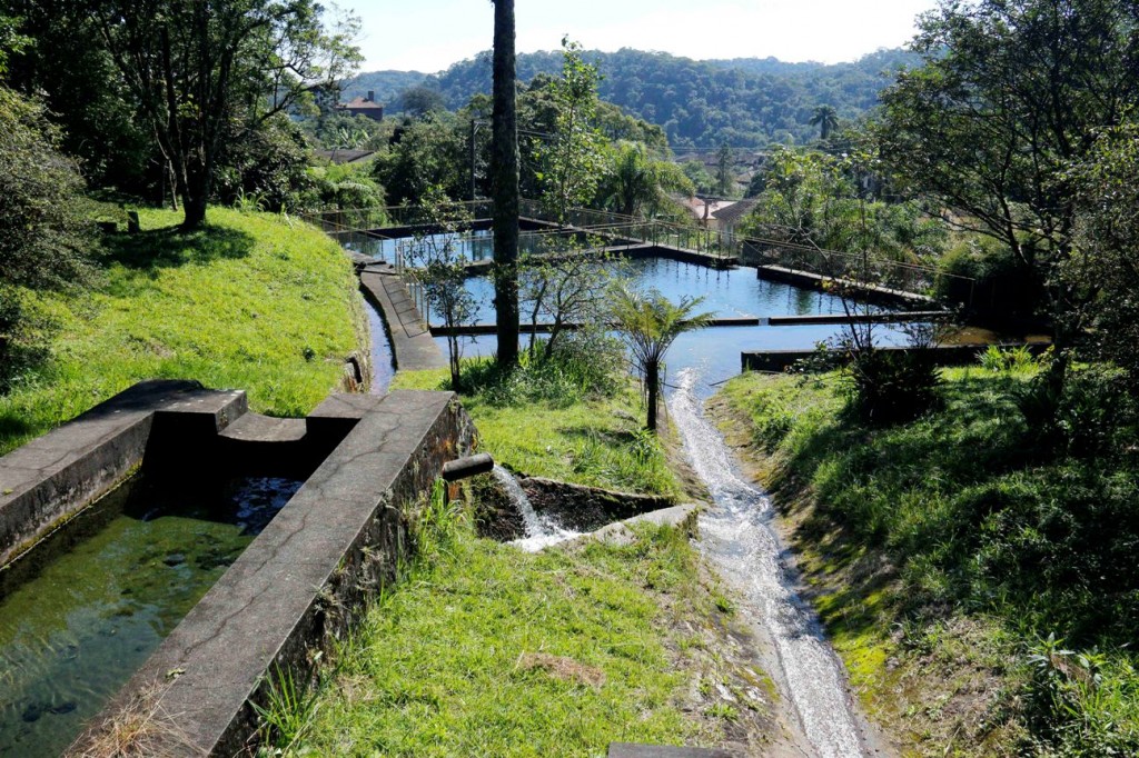 As trilhas no Parque Nascentes são uma oportunidade de contemplar a riqueza da Mata Atlântica